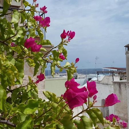 La Casetta Nel Vico Polignano a Mare Exterior foto