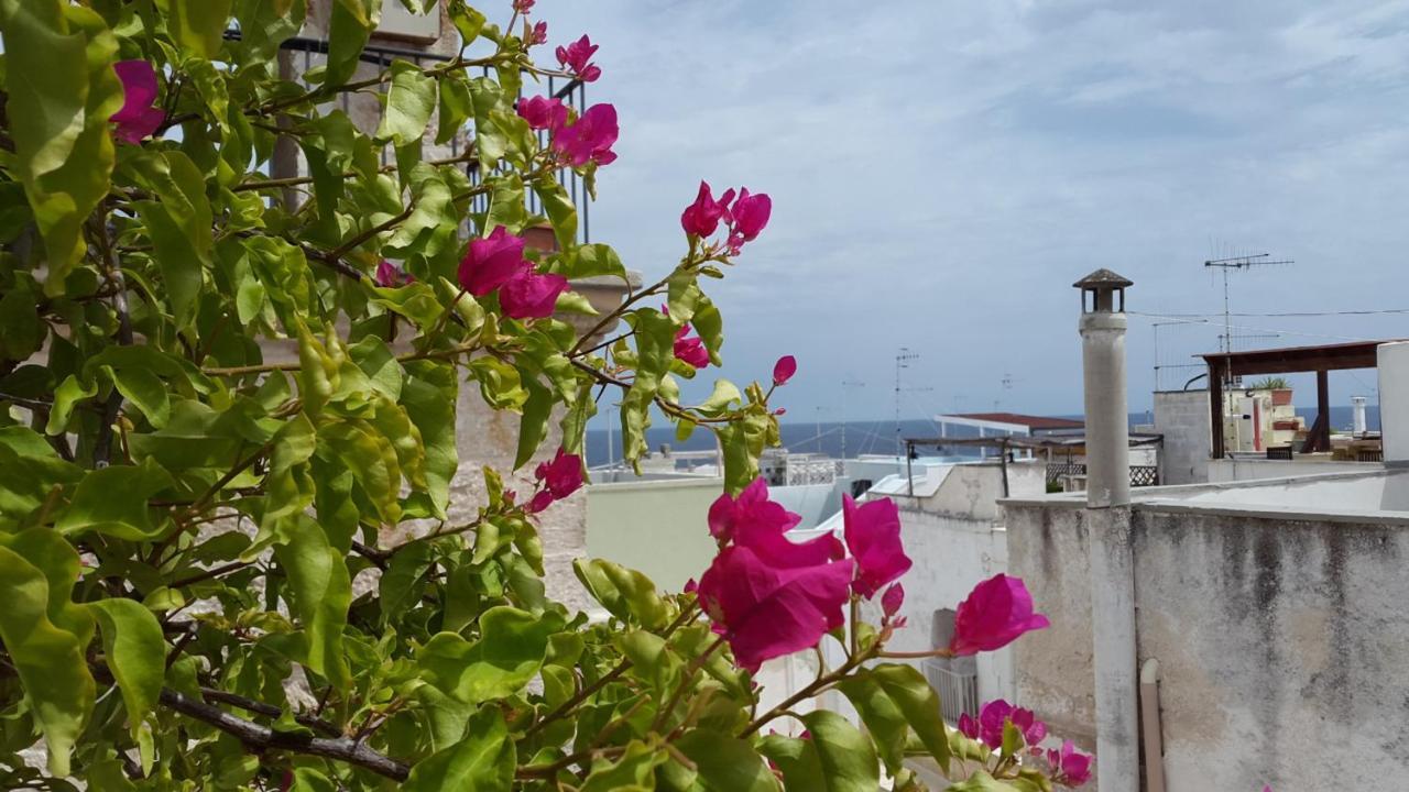 La Casetta Nel Vico Polignano a Mare Exterior foto